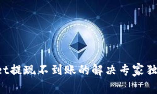 tpWallet提现不到账的解决专家独家秘诀！
