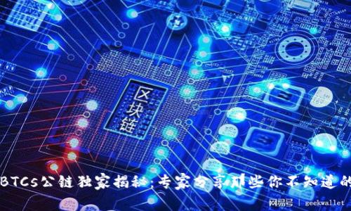 中本聪币BTCs公链独家揭秘：专家分享那些你不知道的投资秘诀